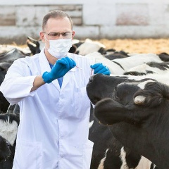 Veterinary Farm-Animals