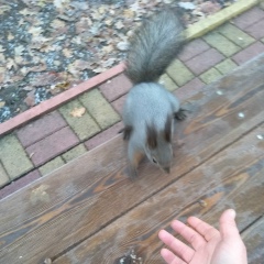 Андрей Бутенко, Ставрополь