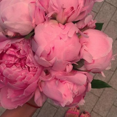 Шариат Бузуртанова, Москва