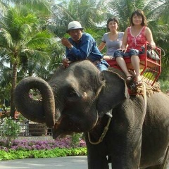 Asem Raiymkulova, Алматы