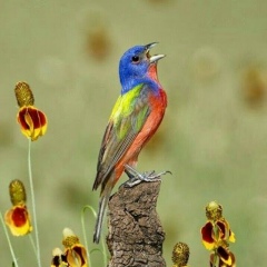 Lyudosik Lyudosik, 28.06, Москва