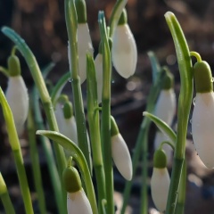 Юлия Фокина, 18.06, Псков