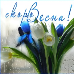 Юлия Рудомазина, Самара