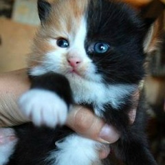 Эльмира Исенгалиева, 29.04.2000