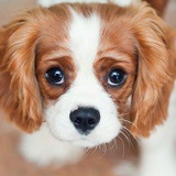 Вика Дудукалова, 29.03.2000, Ессентуки