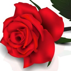 Dogan Kara, 16.05.1973, Tekirdağ