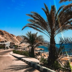 Анна Волкова, Днепр (Днепропетровск)