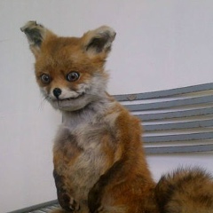 Алексей Князев