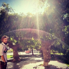 Владислав Шелест, 28.02, Киев