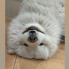 Акмарал Онласын, 10.06, Алматы