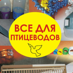 Роман Вербный, 07.08.1981, Лиман / Красный Лиман