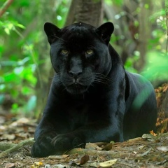 Екатерина Соколова, 12.03, Москва
