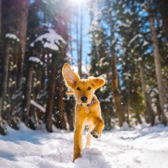 Верочка Карамелькина, 23.04.2004, Усинск