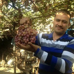 Шухрат Артиков, 24.06.1974, Южно-Сахалинск