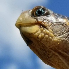 Сашка Захар, 08.11, Санкт-Петербург