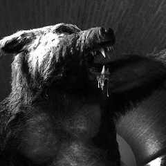 Павел Бирюков, 21.09.1988, Москва