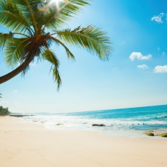 Владимир Владимир