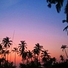 Энрике Морехон, 22.06.2000