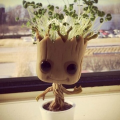 Асем Ботаханова, 20.05.1982, Алматы