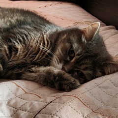 Алексей Титков, 04.10, Москва