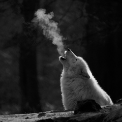 Дамир Ишкулов, 28.09.1990, Аксай