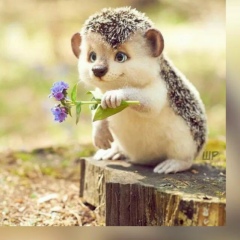 Милана Татуева, 02.02.1993, Нальчик