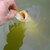 Иван Иванович, 10.03, Тбилиси