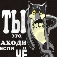 Twicw Angel, Баку