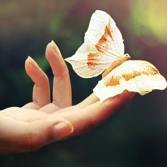 Лола Алламуратовна, 03.12.1981, Нукус