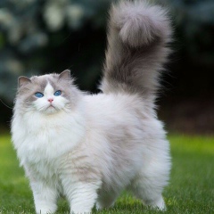 Султан Жантуаров, 04.09.1988