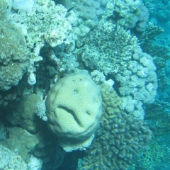 Nadya Krasnolobova, 17.08, Москва