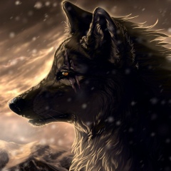 Акаршын , 22.11, Астана