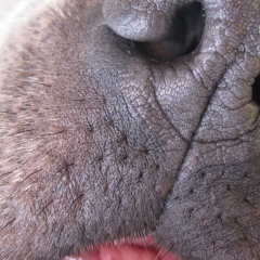 Екатерина , Нижний Новгород