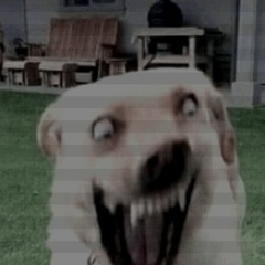 Никита Стрельник, Kyōto