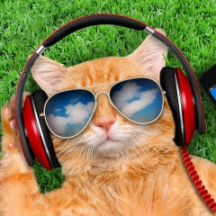 Игорь Тронь, 16.11.1980, Краснодар