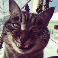 Илья Андреевич, 30.11, Мурманск