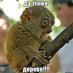 Александр Деревяшкин, 01.09, Югорск