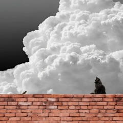 Виктория Ноева