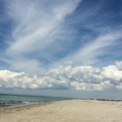 Fevzi Ganiev, 14.10, Гянджа