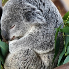 Дима Локоть, 26.08.1984, Санкт-Петербург