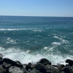 Елена Попова, Воркута