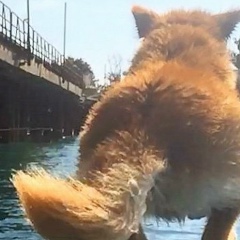 Арсений Жданов, 26.12.1990, Москва