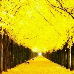 Оксана Нуркеева, 27.08.1991, Алматы