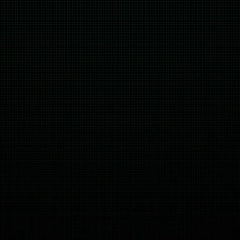 Елена Щагина, 01.06.1907, Санкт-Петербург