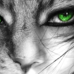 Светлана Белецкая, Электросталь