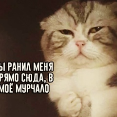 Остап Бендер, 20.12