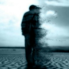 Дмитрий Ваньчев, 25.08.1988, Berkeley