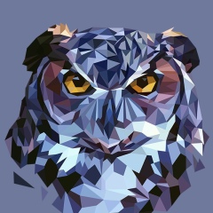 Денис Панчук, 24.05.1999, Киев