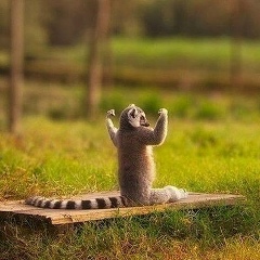 Алексей Крюков, Чехов