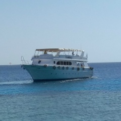 Евгений Носик, 02.10, Днепр (Днепропетровск)